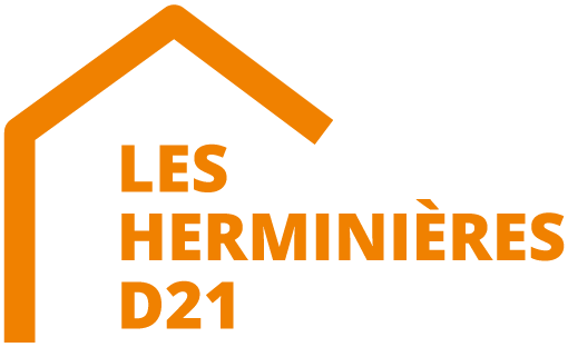 LaNormaD21